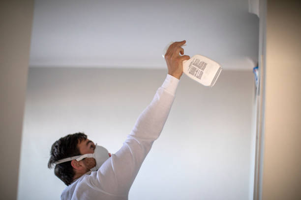 Best Local Mold Removal Service  in West Yellowstone, MT